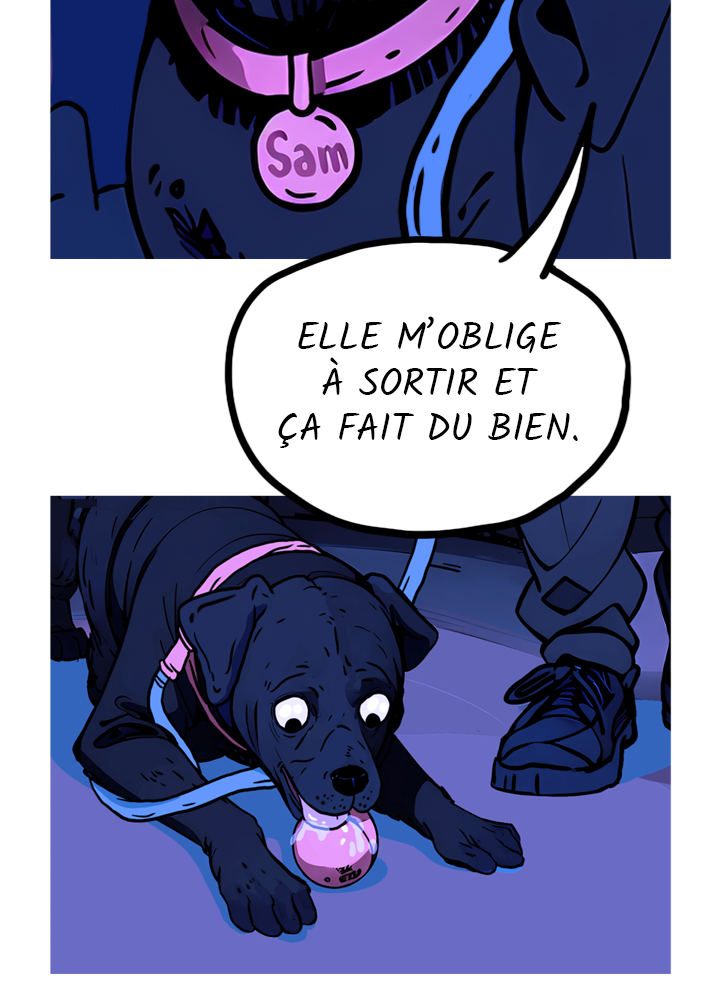 Image de la BD