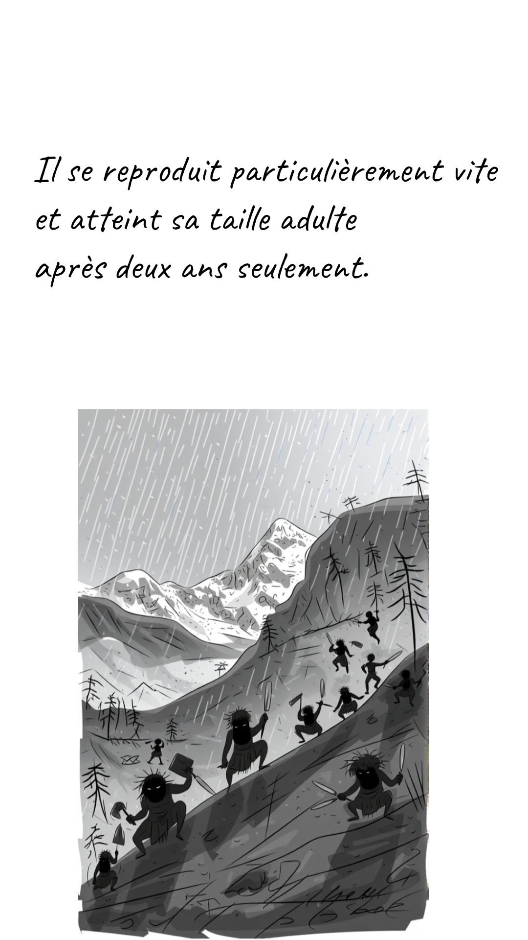 Image de la BD