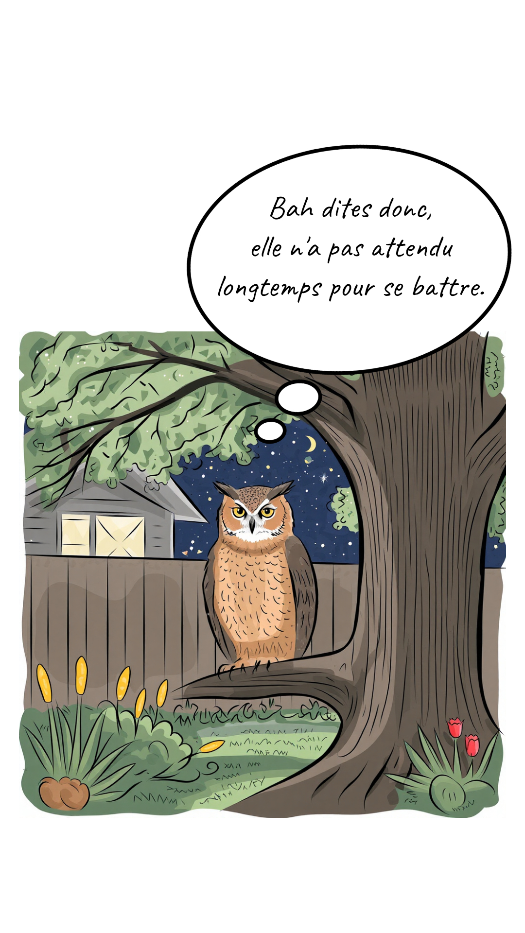 Image de la BD